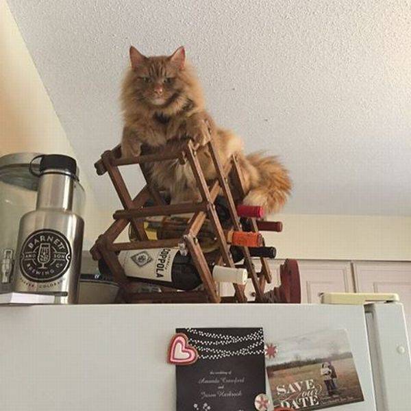 daily picdump 100 pics 24.html - 100 HD Photos | Premium Gallery 2017