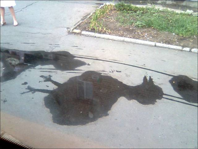 daily picdump 100 pics 24.html - 100 HD Photos | Premium Gallery 2017