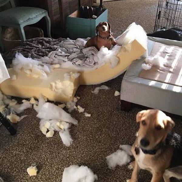 daily picdump 100 pics 24.html - 100 HD Photos | Premium Gallery 2017