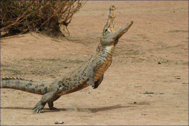 daily picdump 100 pics 24.html - 100 HD Photos | Premium Gallery 2017