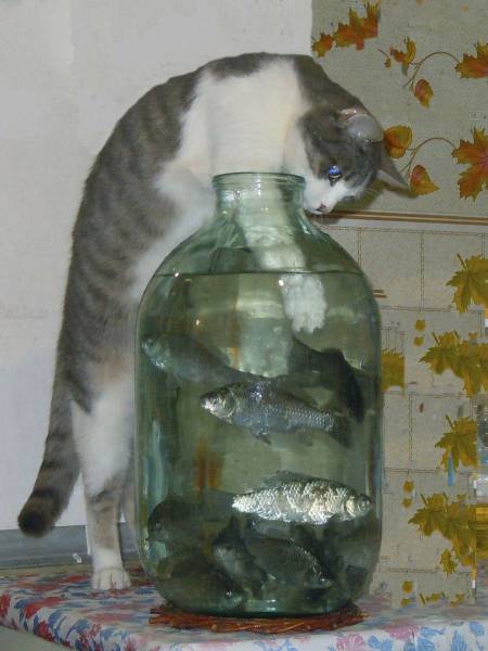 daily picdump 100 pics 24.html - 100 HD Photos | Premium Gallery 2017