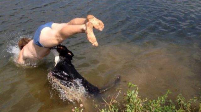 Daily Picdump