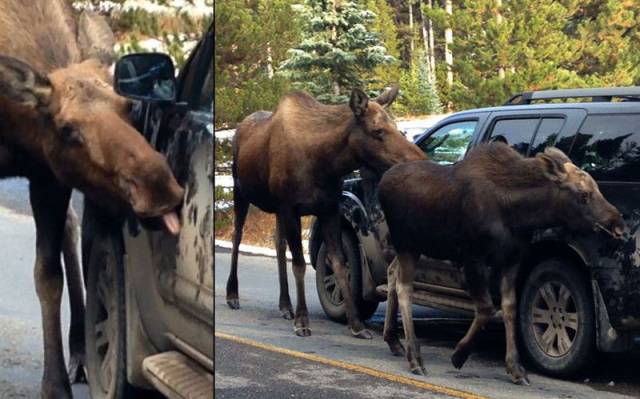 Daily Picdump