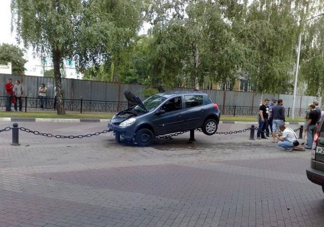 daily picdump 96 pics 4.html - 96 HD Photos | Premium Gallery 2017