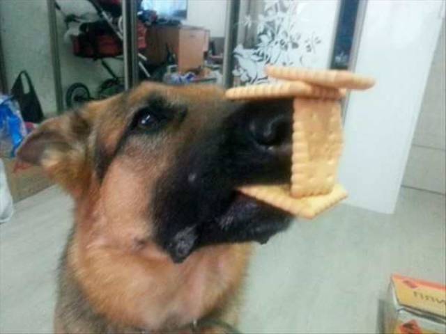 daily picdump 96 pics 4.html - 96 HD Photos | Premium Gallery 2017