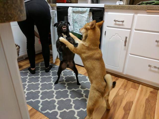 daily picdump 96 pics 4.html - 96 HD Photos | Premium Gallery 2017