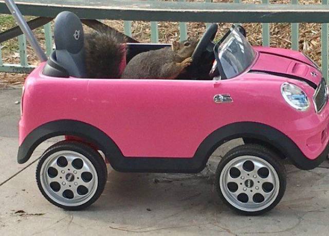 daily picdump 93 pics 40.html - 93 HD Photos | Premium Gallery 2017