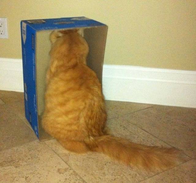 daily picdump 93 pics 40.html - 93 HD Photos | Premium Gallery 2017
