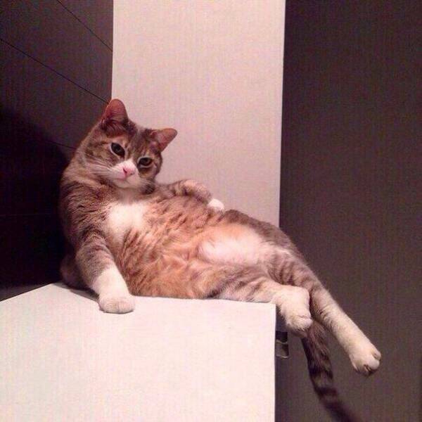 daily picdump 93 pics 40.html - 93 HD Photos | Premium Gallery 2017