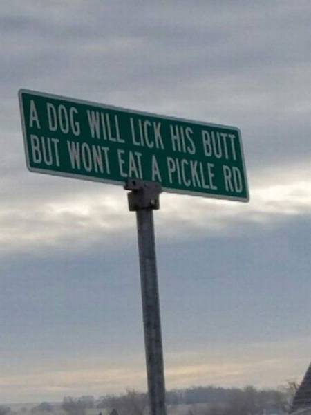 daily picdump 93 pics 40.html - 93 HD Photos | Premium Gallery 2017
