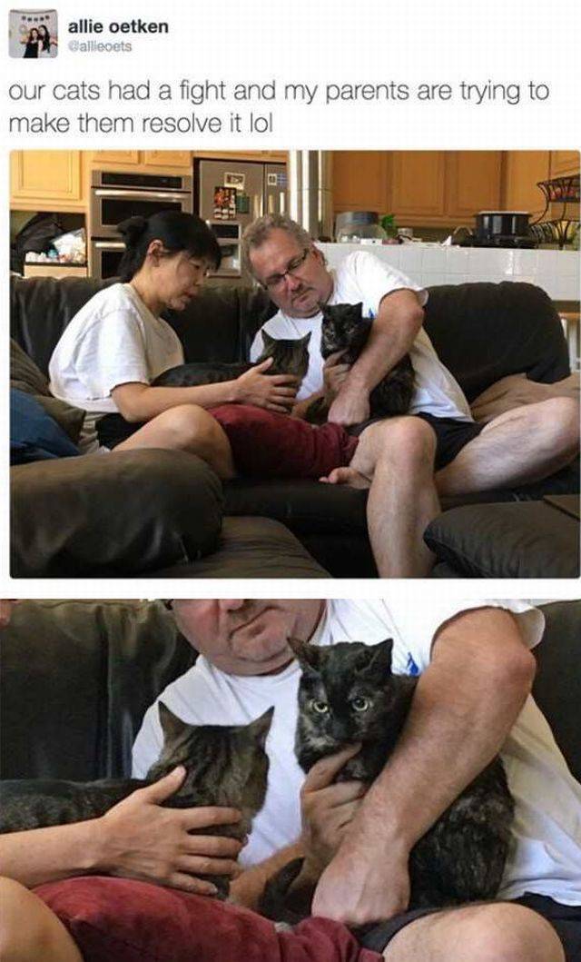 daily picdump 93 pics 40.html - 93 HD Photos | Premium Gallery 2017