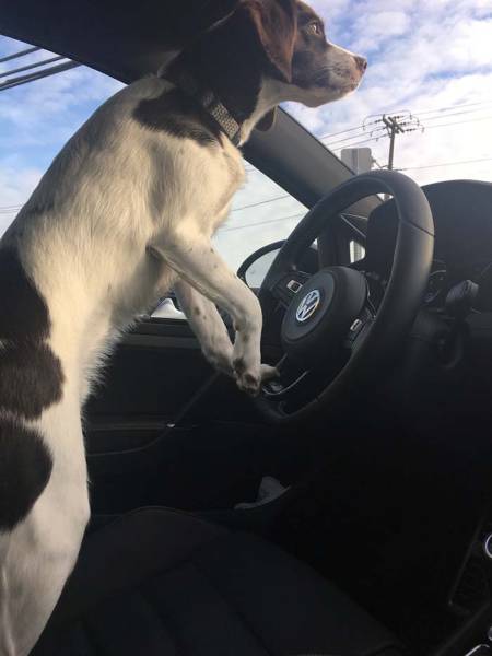 morning picdump 52 pics 14.html - 52 HD Photos | Premium Gallery 2017