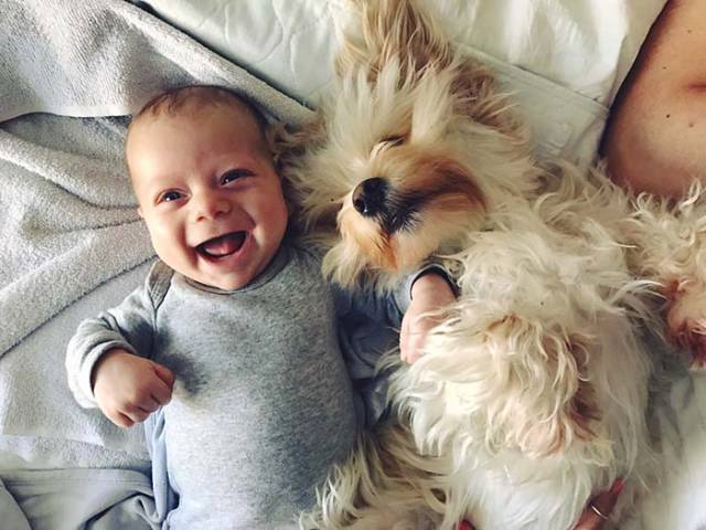 morning picdump 52 pics 14.html - 52 HD Photos | Premium Gallery 2017