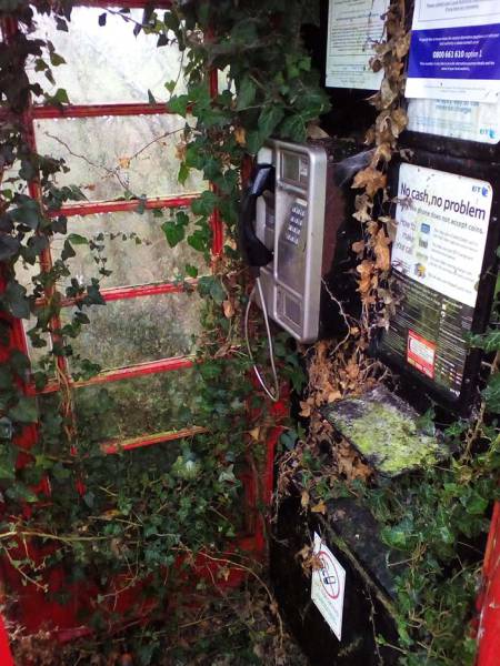 morning picdump 52 pics 14.html - 52 HD Photos | Premium Gallery 2017