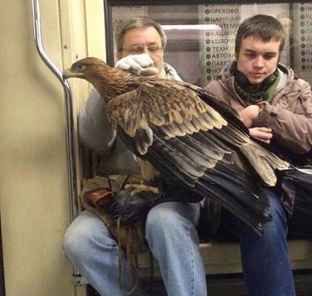 morning picdump 52 pics 14.html - 52 HD Photos | Premium Gallery 2017