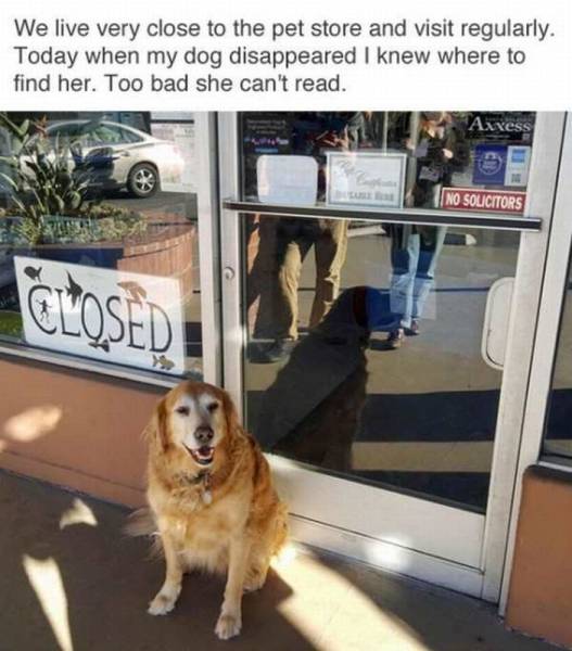 Daily Picdump