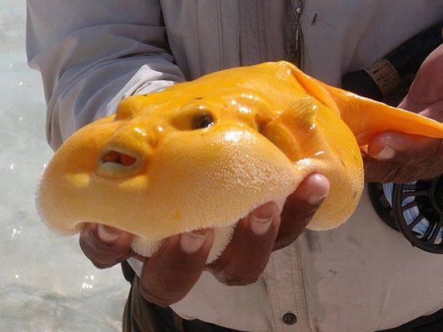 Daily Picdump
