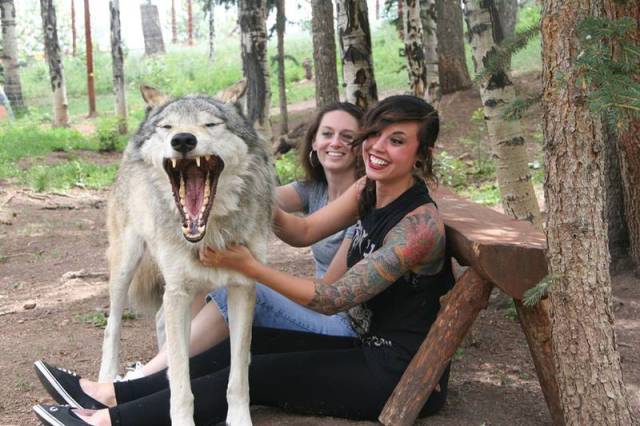 Daily Picdump