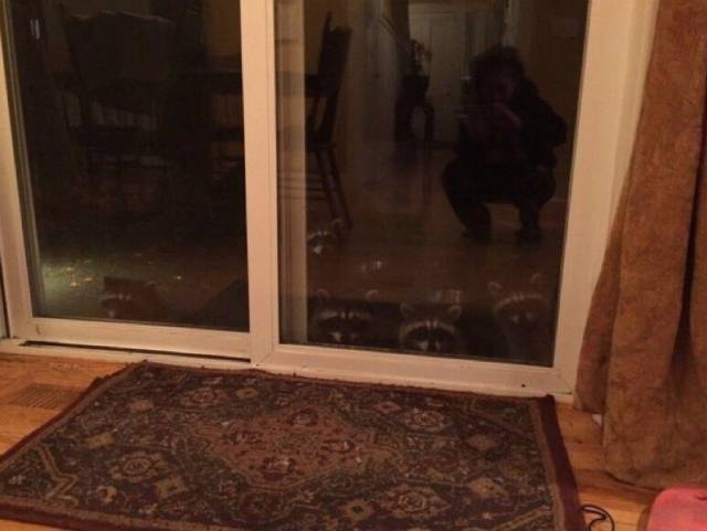 daily picdump 98 pics 45.html - 98 HD Photos | Premium Gallery 2017