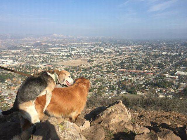daily picdump 98 pics 45.html - 98 HD Photos | Premium Gallery 2017