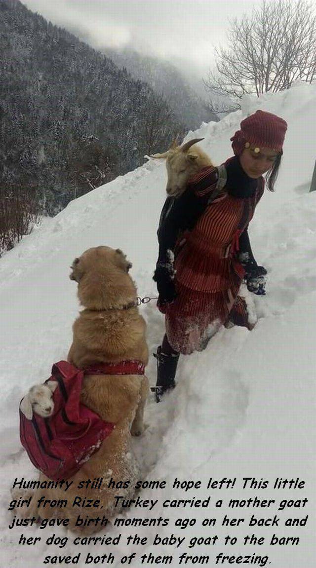 Daily Picdump