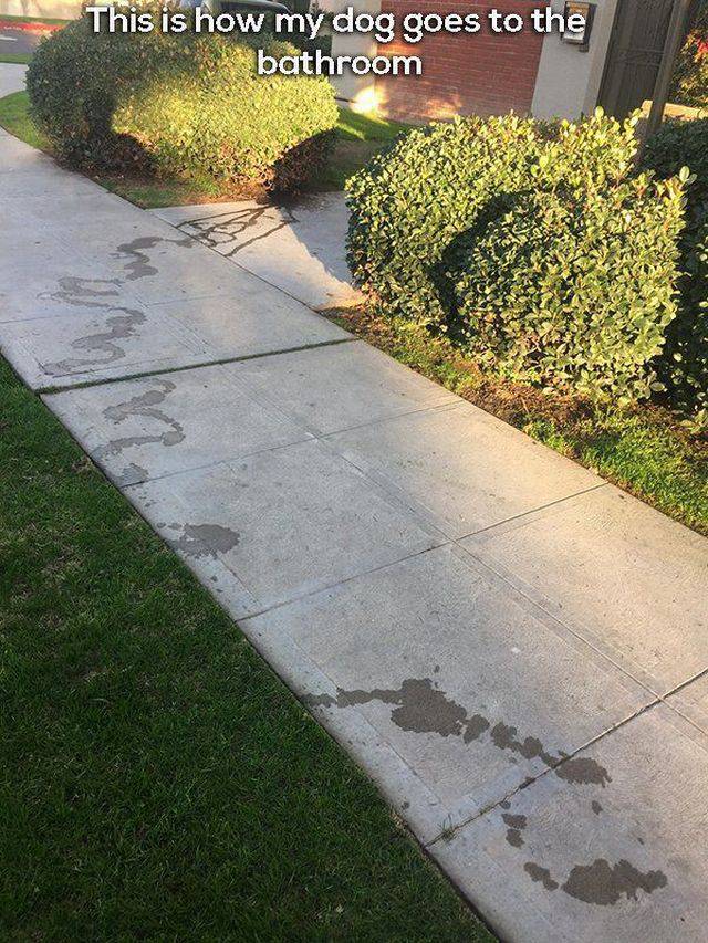 daily picdump 98 pics 45.html - 98 HD Photos | Premium Gallery 2017