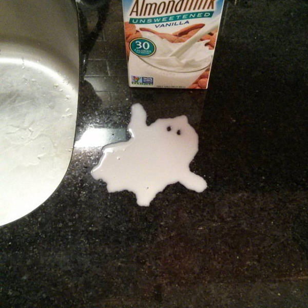 Funny Picdump