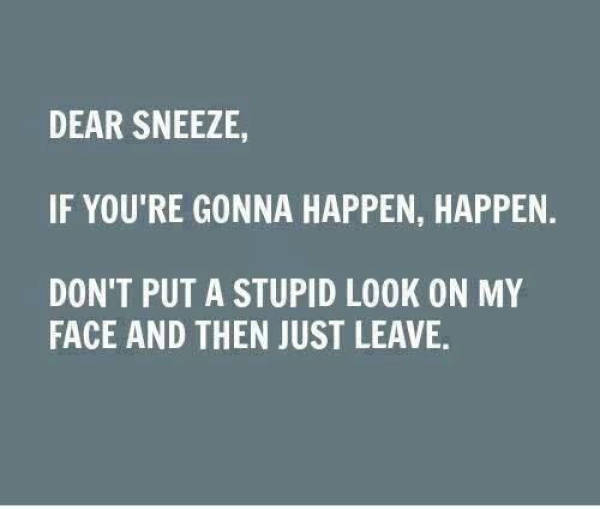 funny picdump 52 pics 6.html - 52 HD Photos | Premium Gallery 2017