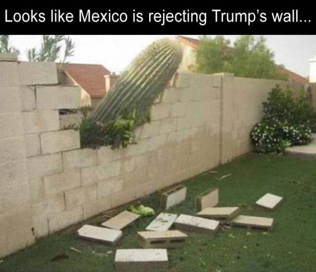 funny picdump 52 pics 6.html - 52 HD Photos | Premium Gallery 2017