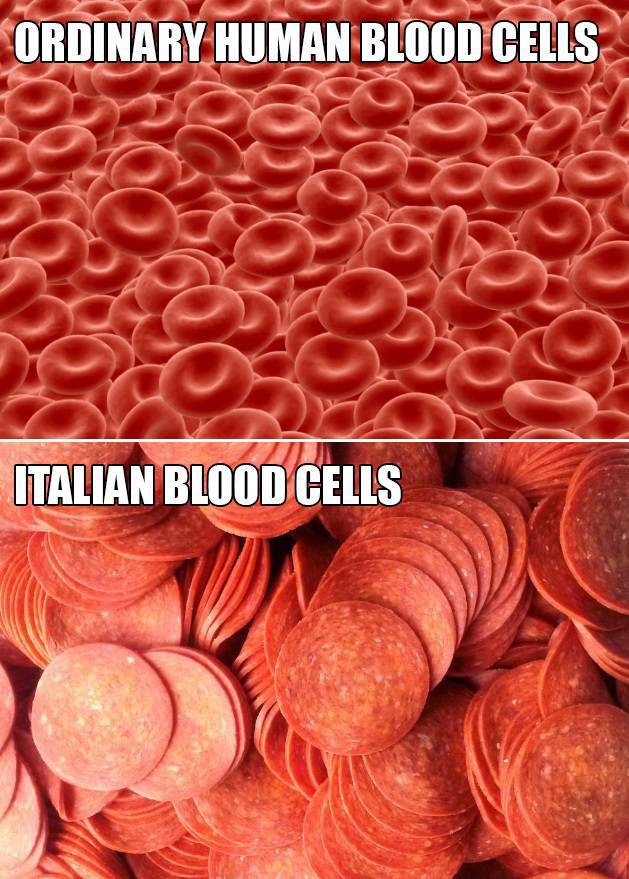 Funny Picdump