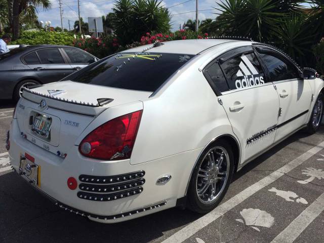 morning picdump 50 pics 17.html - 50 HD Photos | Premium Gallery 2017