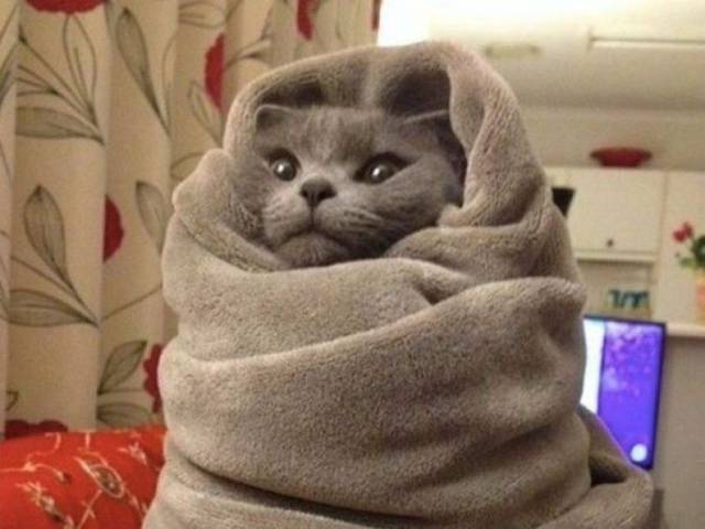daily picdump 96 pics 40.html - 96 HD Photos | Premium Gallery 2017