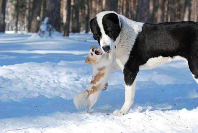 daily picdump 96 pics 40.html - 96 HD Photos | Premium Gallery 2017