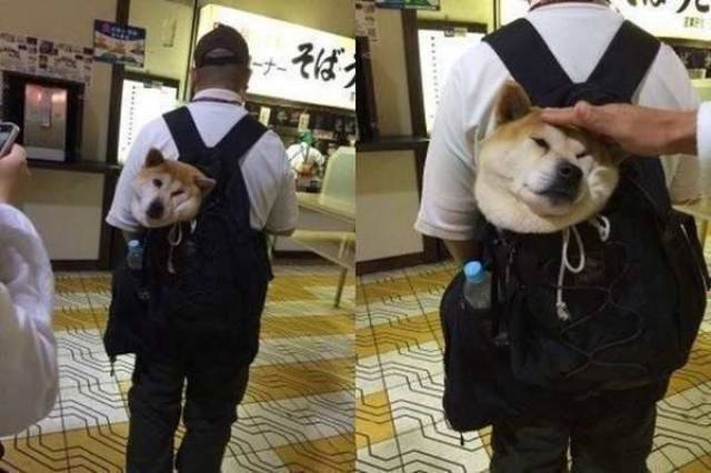 daily picdump 96 pics 40.html - 96 HD Photos | Premium Gallery 2017