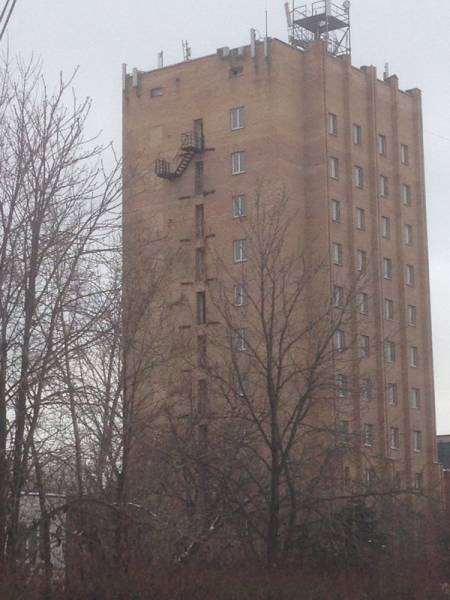 Morning Picdump