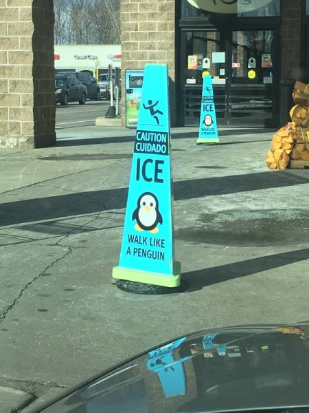 Morning Picdump
