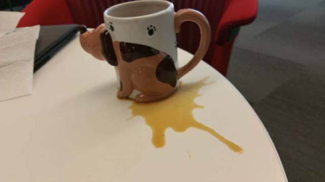 Morning Picdump