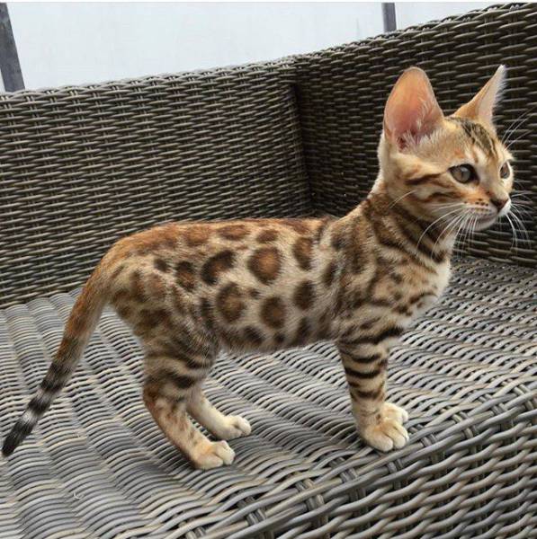 morning picdump 52 pics 16.html - 52 HD Photos | Premium Gallery 2017