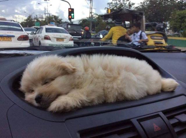 daily picdump weekend edition 67 pics 5.html - 67 HD Photos | Premium Gallery 2017
