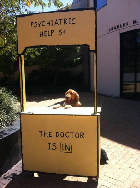 daily picdump weekend edition 67 pics 5.html - 67 HD Photos | Premium Gallery 2017