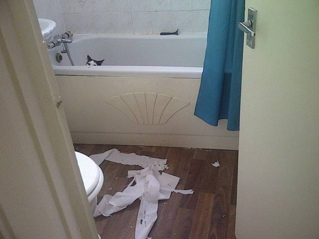 Daily Picdump