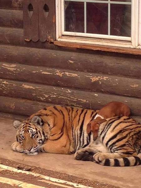 Daily Picdump