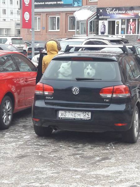 daily picdump 101 pics 28.html - 101 HD Photos | Premium Gallery 2017