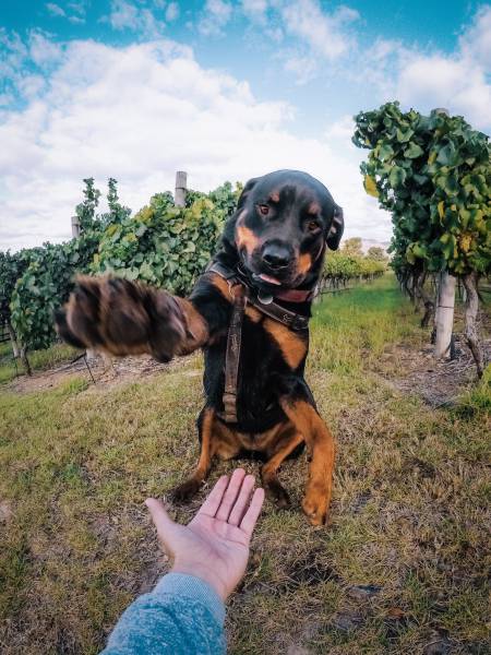 morning picdump 55 pics 23.html - 55 HD Photos | Premium Gallery 2017