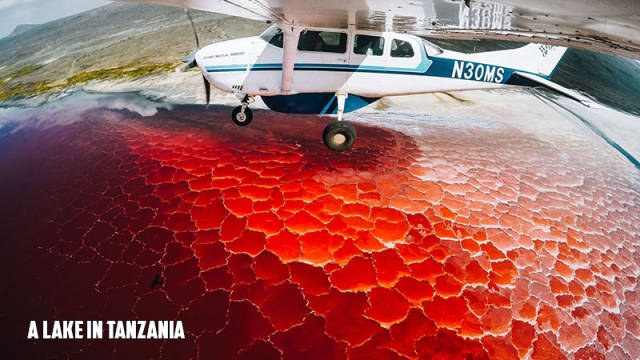 morning picdump 55 pics 23.html - 55 HD Photos | Premium Gallery 2017