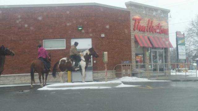 morning picdump 55 pics 23.html - 55 HD Photos | Premium Gallery 2017