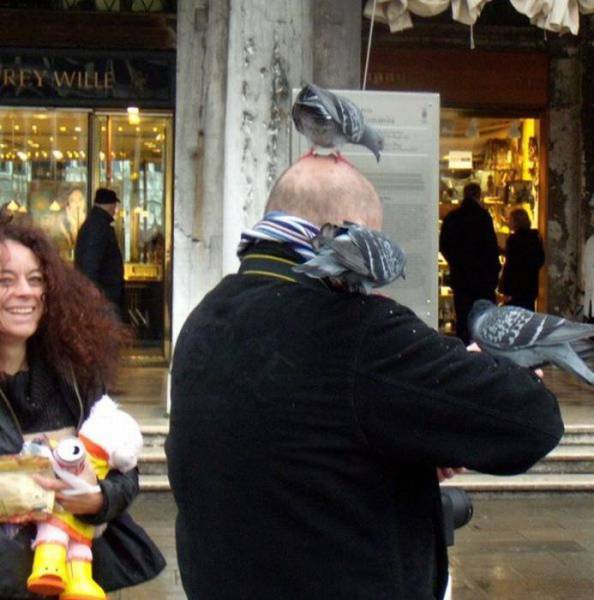 daily picdump 99 pics 42.html - 99 HD Photos | Premium Gallery 2017