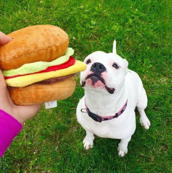 daily picdump 99 pics 42.html - 99 HD Photos | Premium Gallery 2017