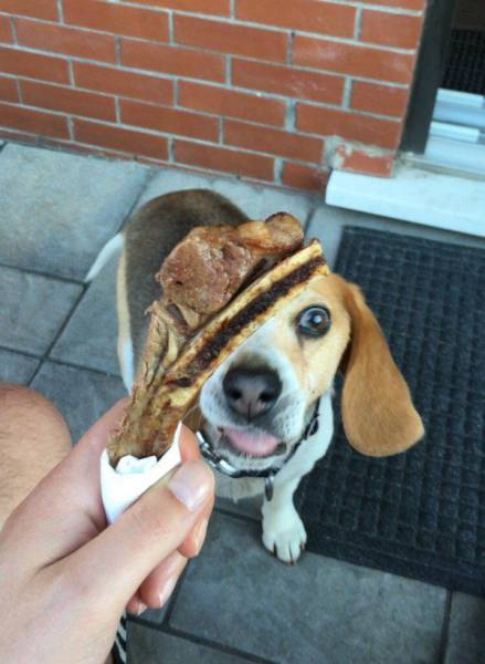 daily picdump 99 pics 42.html - 99 HD Photos | Premium Gallery 2017