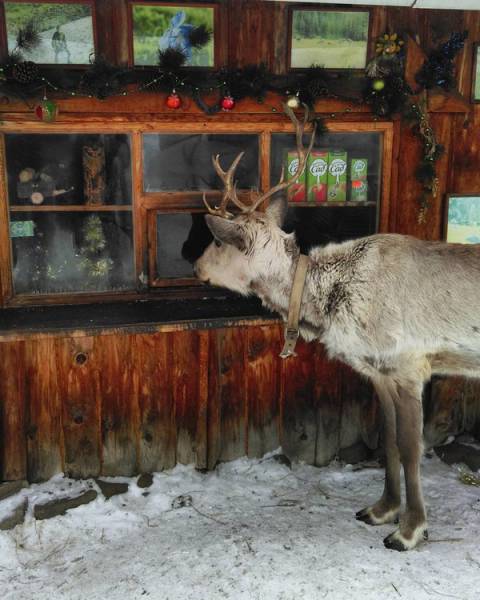 Morning Picdump
